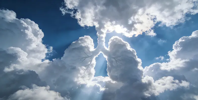 黑河肺癌8基因突变检测（组织）图片1