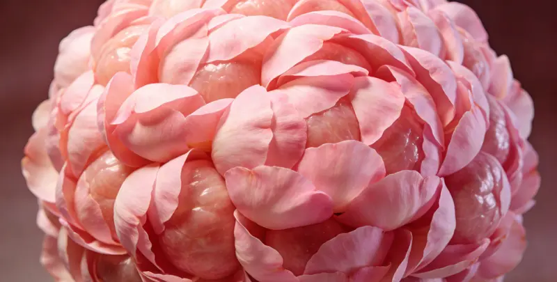 黑河BRCA1/2乳腺癌卵巢癌基因检测图片1